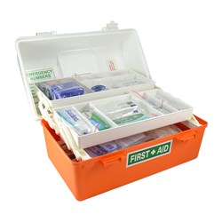 Regulation Marine Kit Scale G in a Portable Two Tray Carry